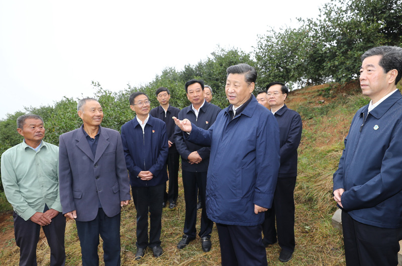 　　9月16日至18日，中共中央總書記、國家主席、中央軍委主席習近平在河南考察。這是17日上午，習近平來到信陽市光山縣槐店鄉(xiāng)司馬光油茶園，同正在勞作的村民和管理人員交流。 新華社記者 鞠鵬 攝