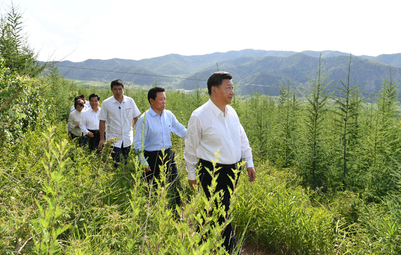 7月15日至16日，中共中央總書記、國(guó)家主席、中央軍委主席習(xí)近平在內(nèi)蒙古考察并指導(dǎo)開展“不忘初心、牢記使命”主題教育。這是15日下午，習(xí)近平在赤峰市喀喇沁旗馬鞍山林場(chǎng)林區(qū)，沿著崎嶇的護(hù)林小道察看林木長(zhǎng)勢(shì)。